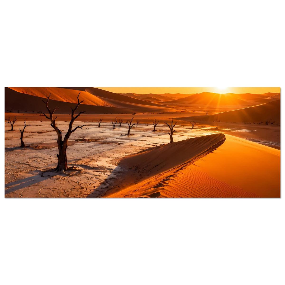 Poster Querformat: goldener Sonnenuntergang über Dünen, trockene Bäume entlang des trockenen Tals.