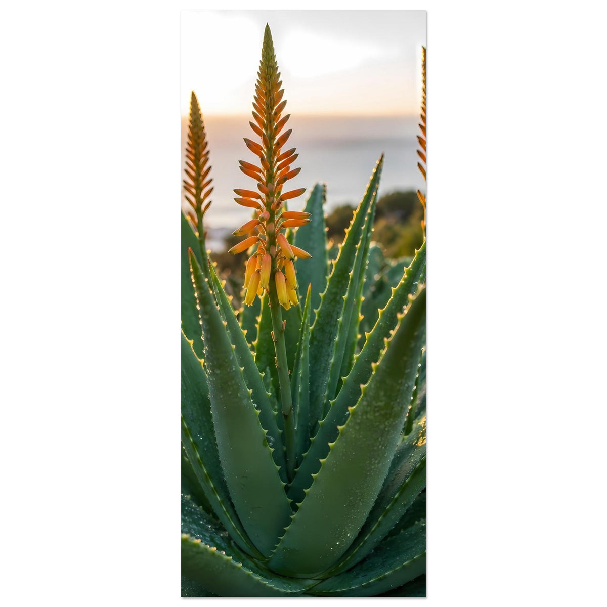 Schmales Hochformat-Poster mit Aloe-Blüte, grüne Blätter und gelb-oranges Blütenzentrum