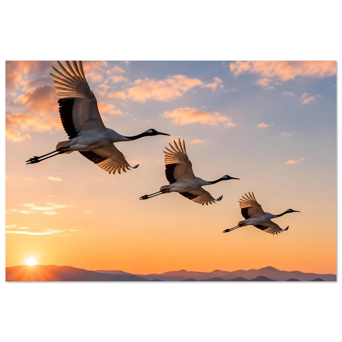 Poster mit drei Kranichen im Flug, breite Flügelhaltung über dem Bildrand