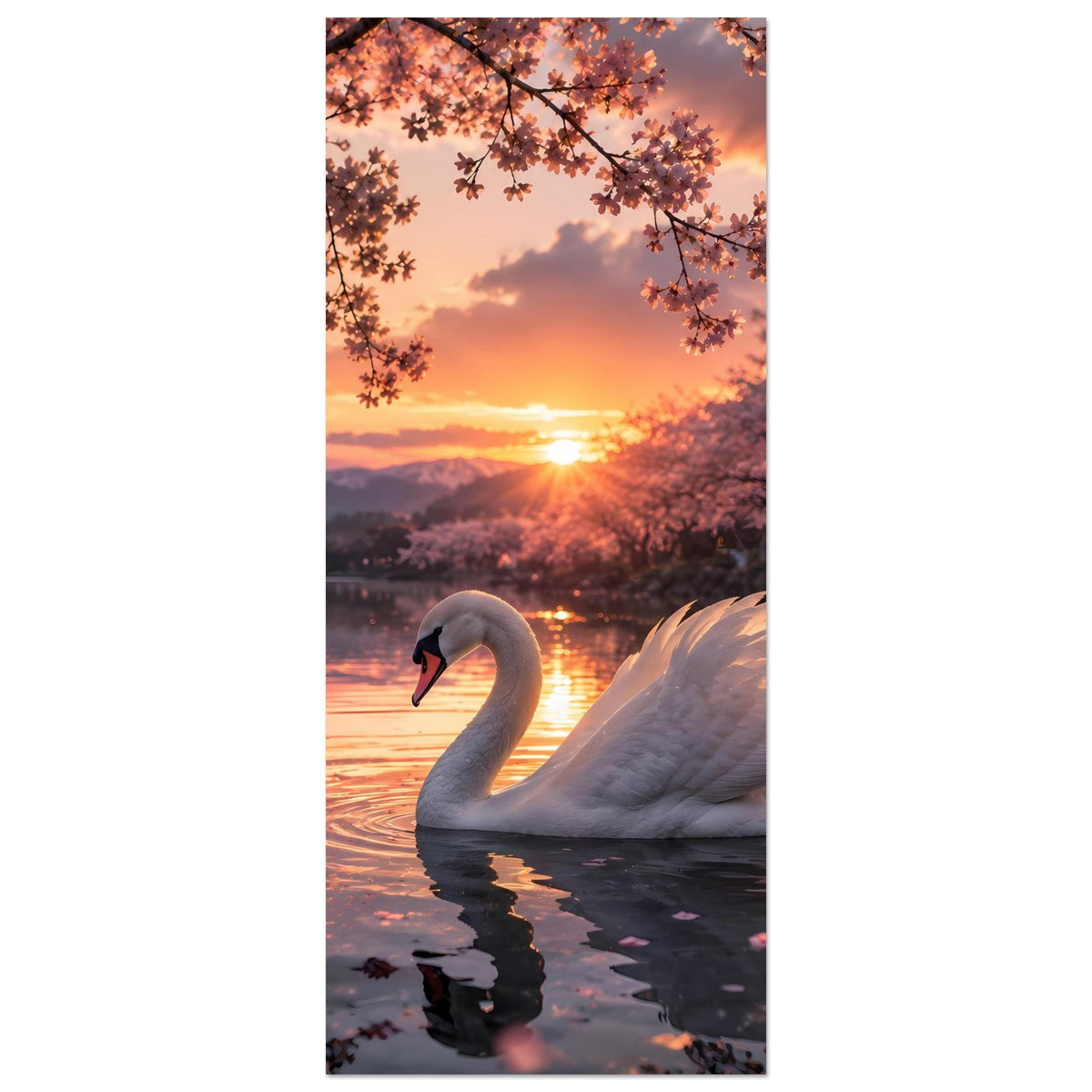 Vertikales Poster: Schwan auf dem Wasser im Sonnenuntergang unter Kirschblütenzweigen