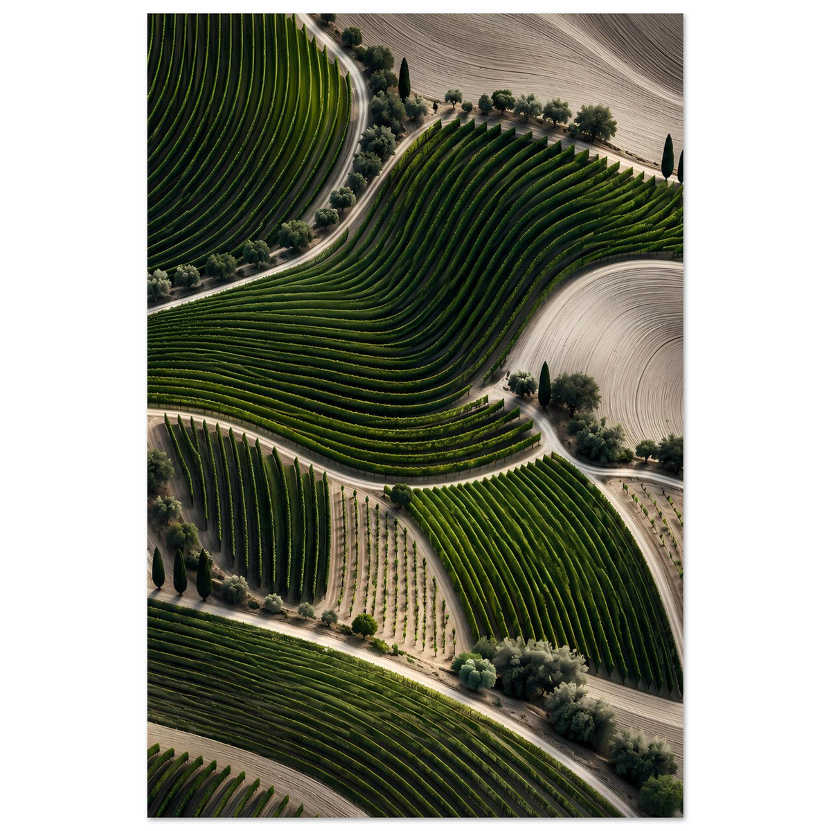 Landschaftsposter im Hochformat: Weinberg mit grünen Rebzeilen und hellen Wegen.