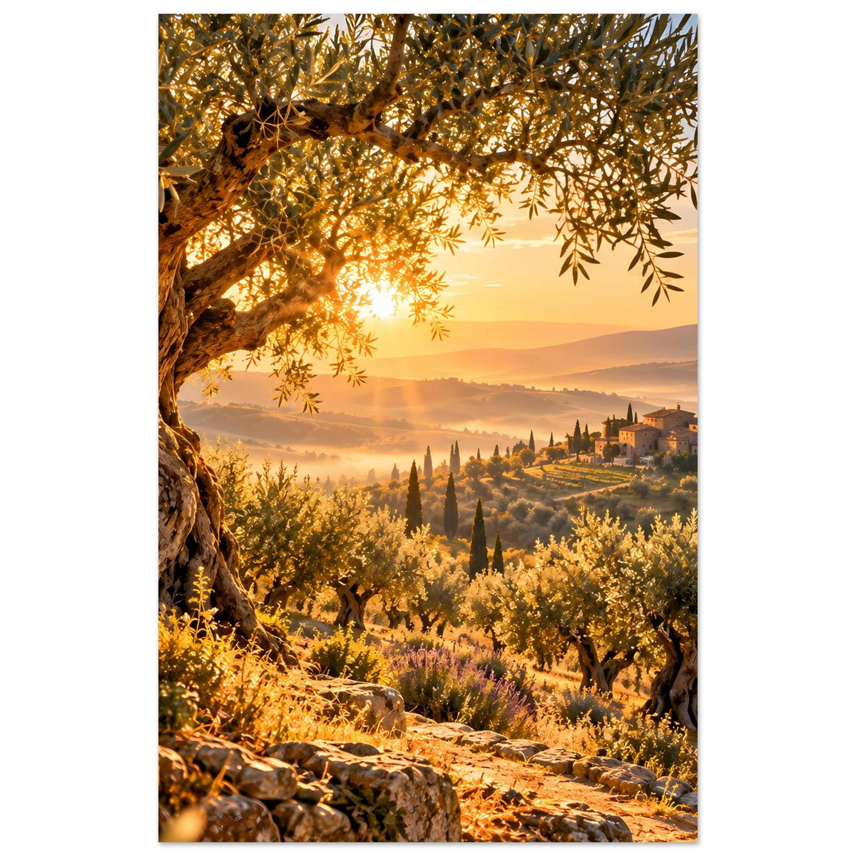Landschaftsposter im schmalen Zuschnitt: Olivenbaum, goldene Sonne, Zypressen und Tal