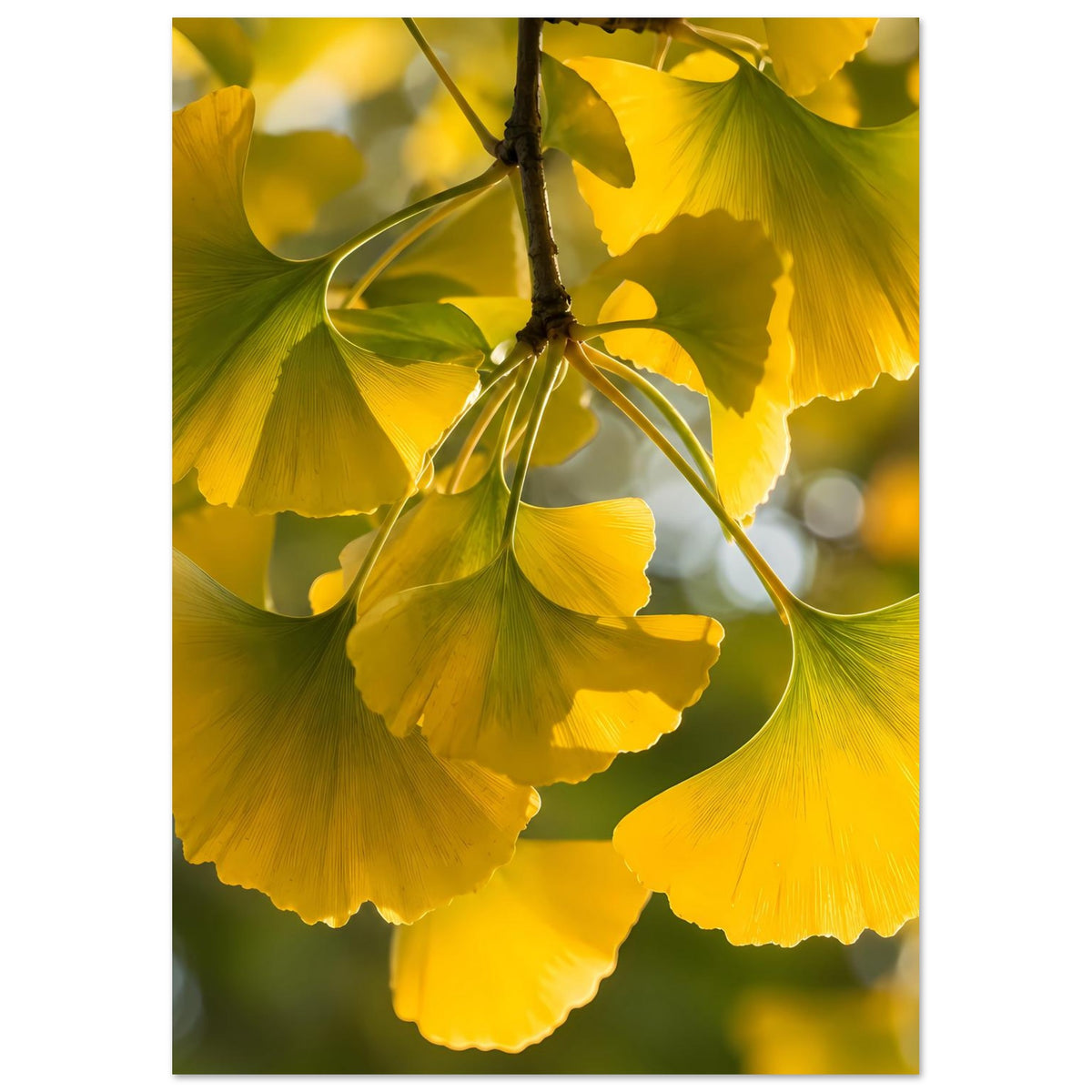 Ginkgoblatt-Poster im Hochformat mit gelben Blattwedeln und grünem Geäder am Ast