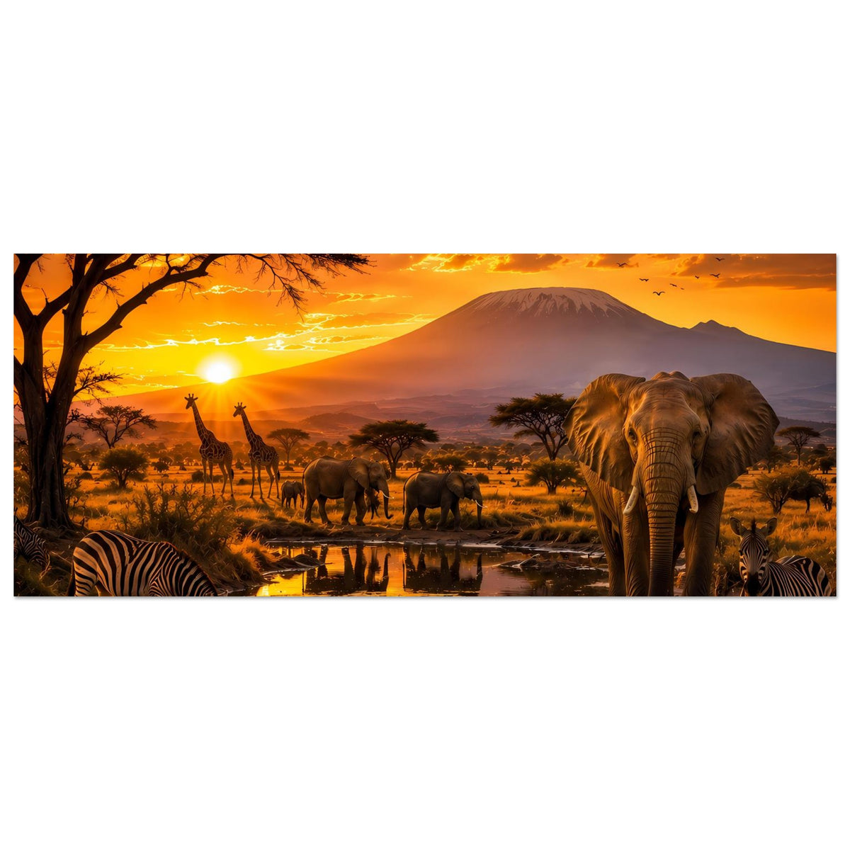 Querformat-Wandposter mit Elefanten und Zebras, Sonnenuntergang über Berg im Hintergrund