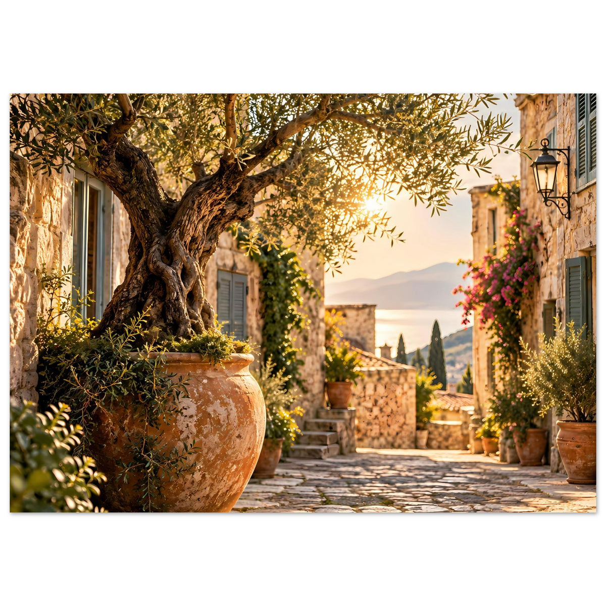 Mediterranes Fotoposter: Olivenbaum, Tongefäß und Laterne an mediterraner Gasse