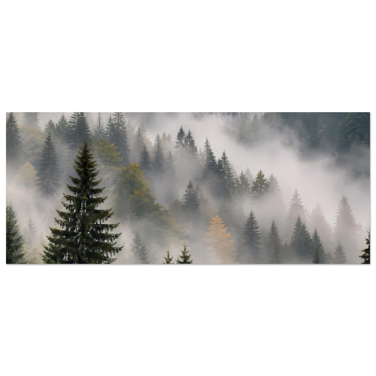 Wandposter horizontal: Tannenwald im Nebel, weiche Grau- und Grüntöne