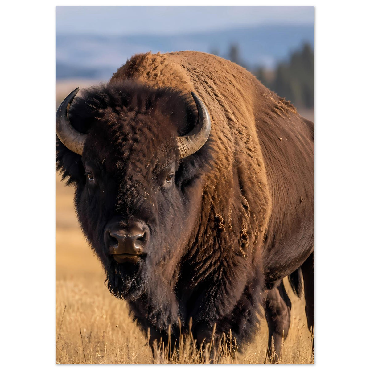 Bison-Wildtierposter: vertikal, Bison mit Hörnern und brauner Rückenpartie