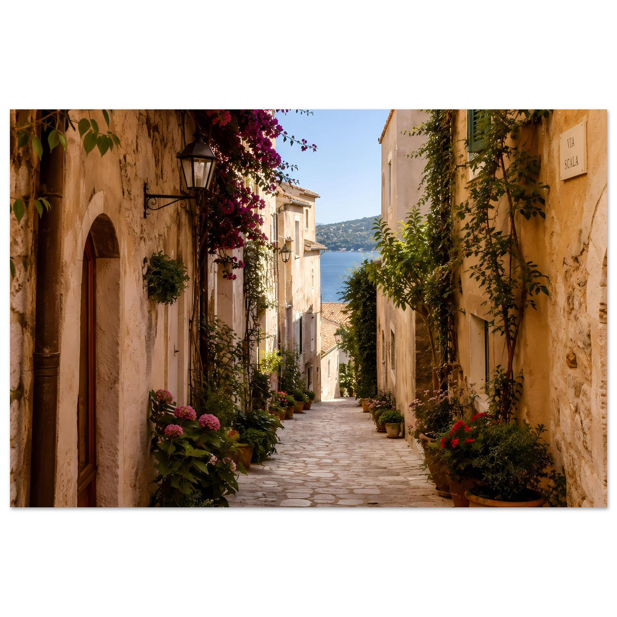 Wandposter: mediterrane Gasse mit lila Blüten, Blumentöpfen und grünen Ranken an Holzläden