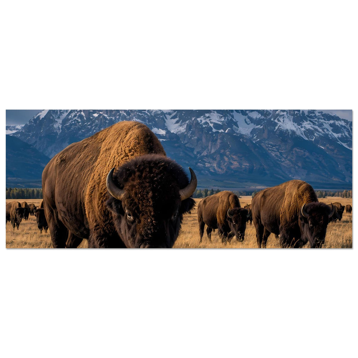Horizontales Poster mit Bisonherde, braunes Vorderbison und weitere Tiere in Reihe