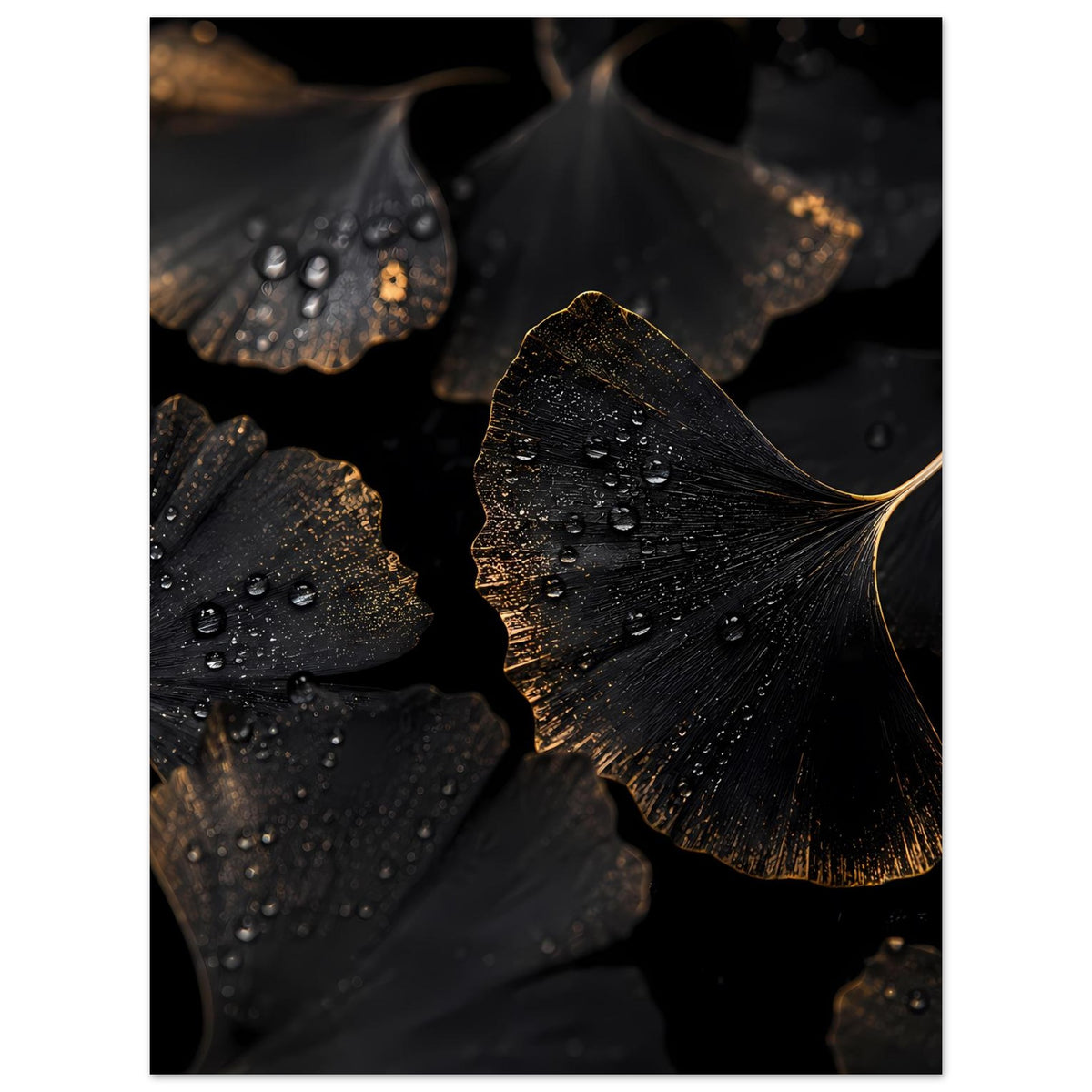 Vertikales Poster mit mehreren Ginkgo-Blättern, schwarz-gold schimmernd, Wassertropfen sichtbar