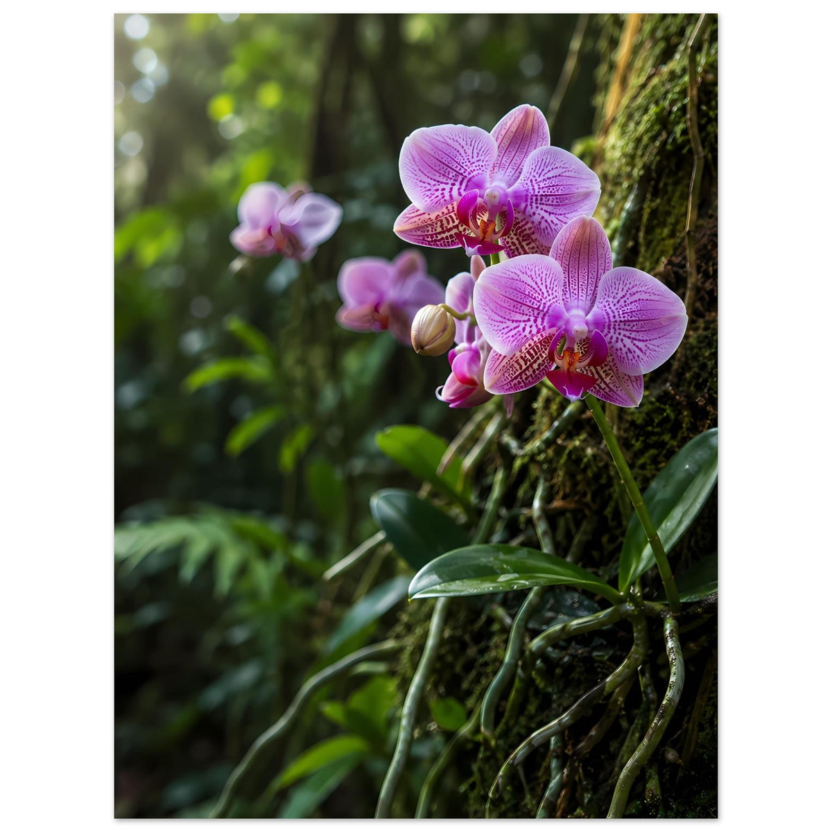 Botanisches Poster mit violetten Orchideenblüten an Moos und grünen Blättern