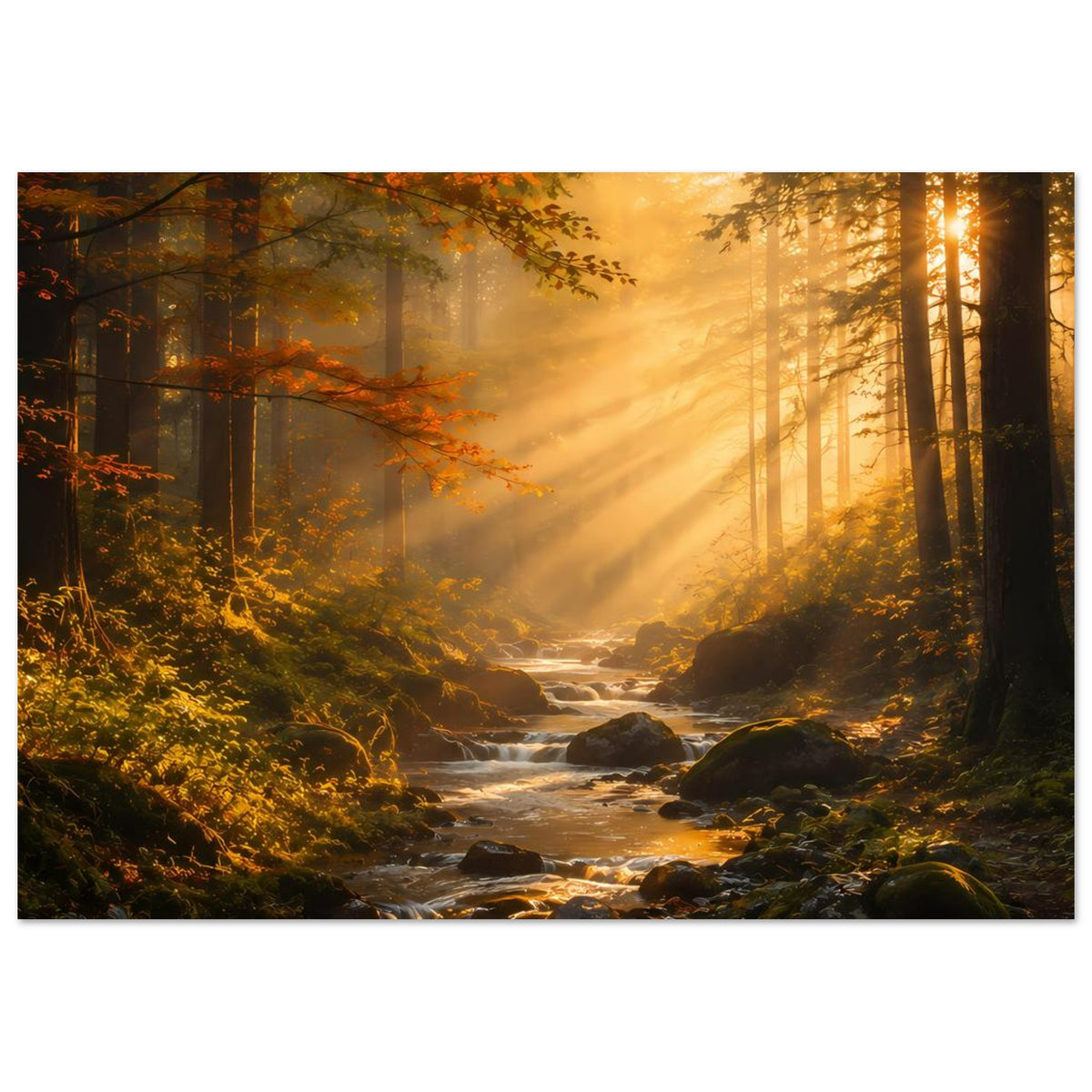 Waldposter im Querformat mit goldenen Strahlen, Bach und Steine im Vordergrund