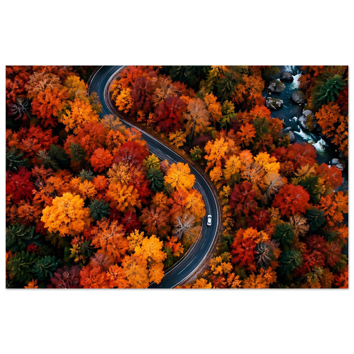 Breites Poster: kurvige Straße durch orange, gelbe und rote Herbstwälder