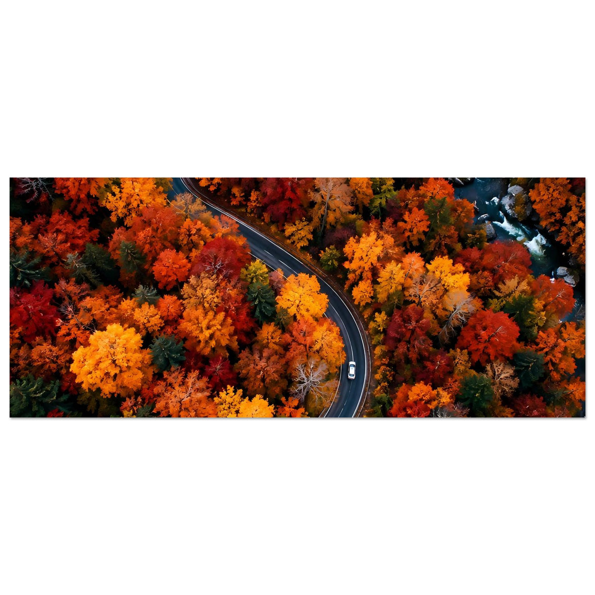 Herbstposter, horizontal: gewundene Straße zwischen orange und gelbem Laub