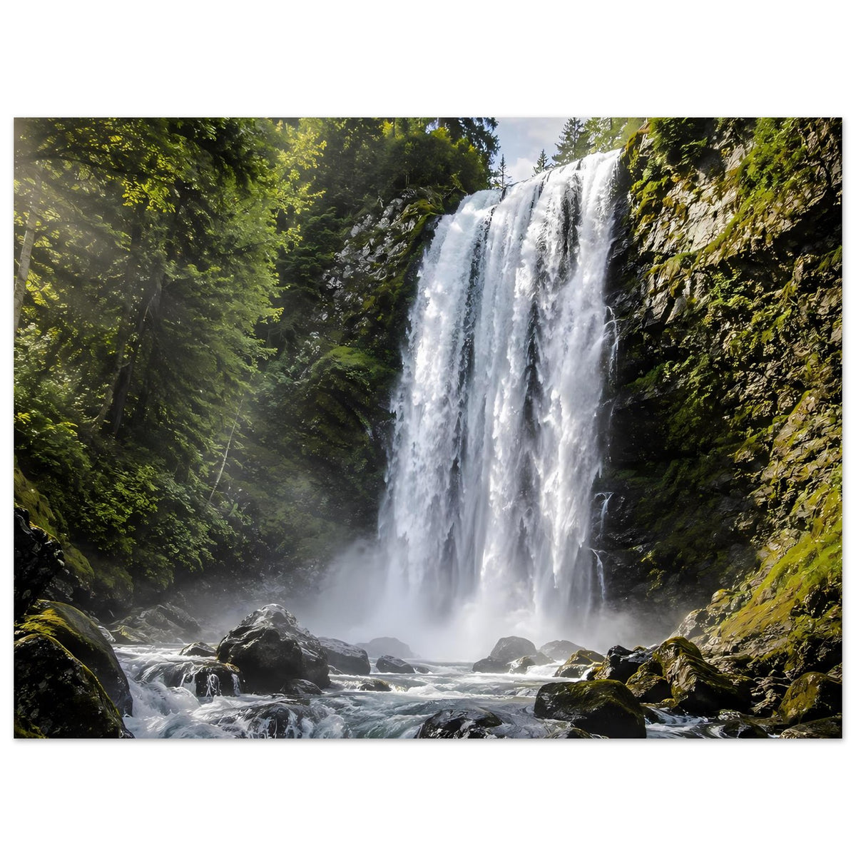 Wasserfall-Premium-Poster (quadratisch) mit Wasserfall, Felsbrocken und Nadelwald