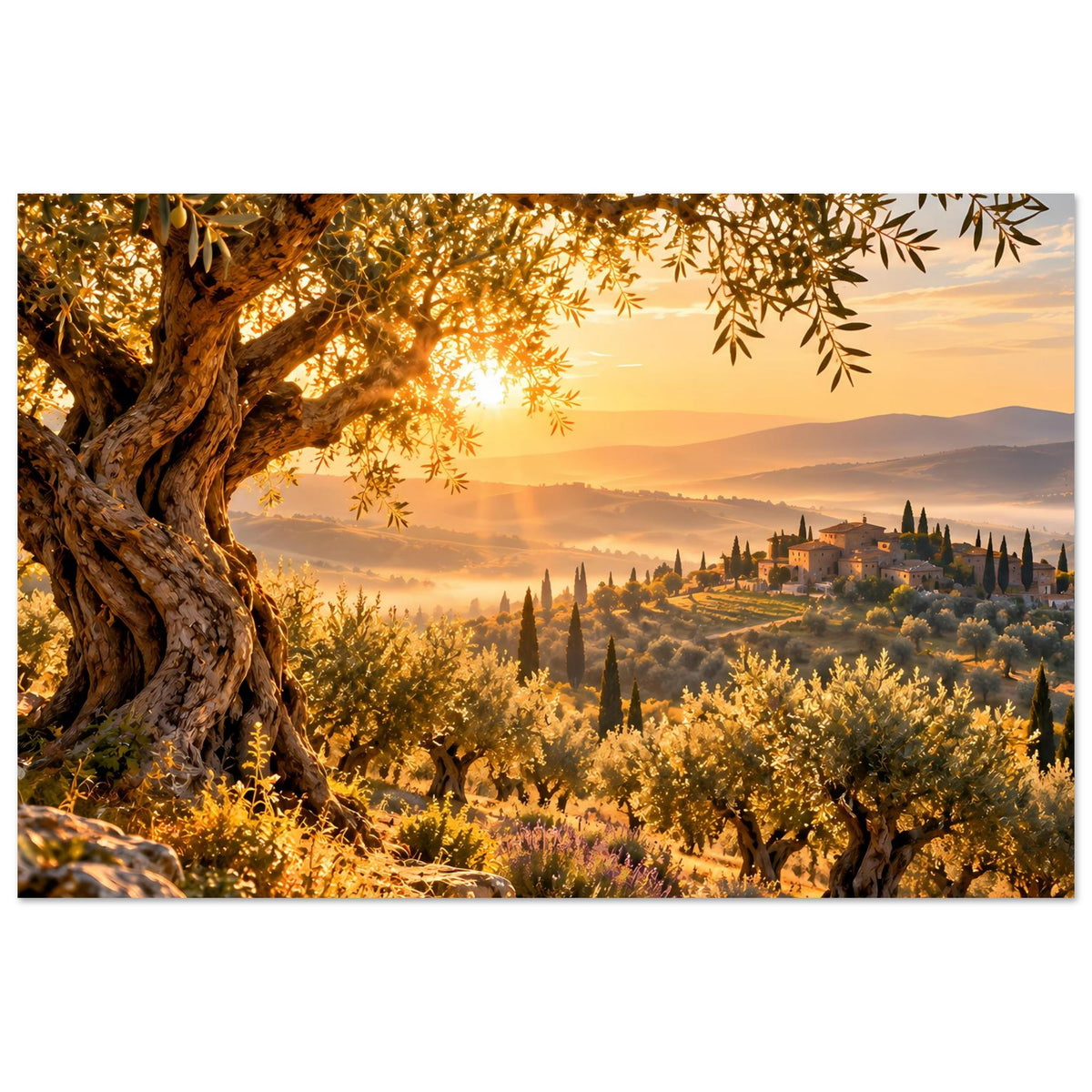 Landschaftsposter mit Olivenbaum links, goldenem Sonnenaufgang, toskanischem Tal und Zypressen