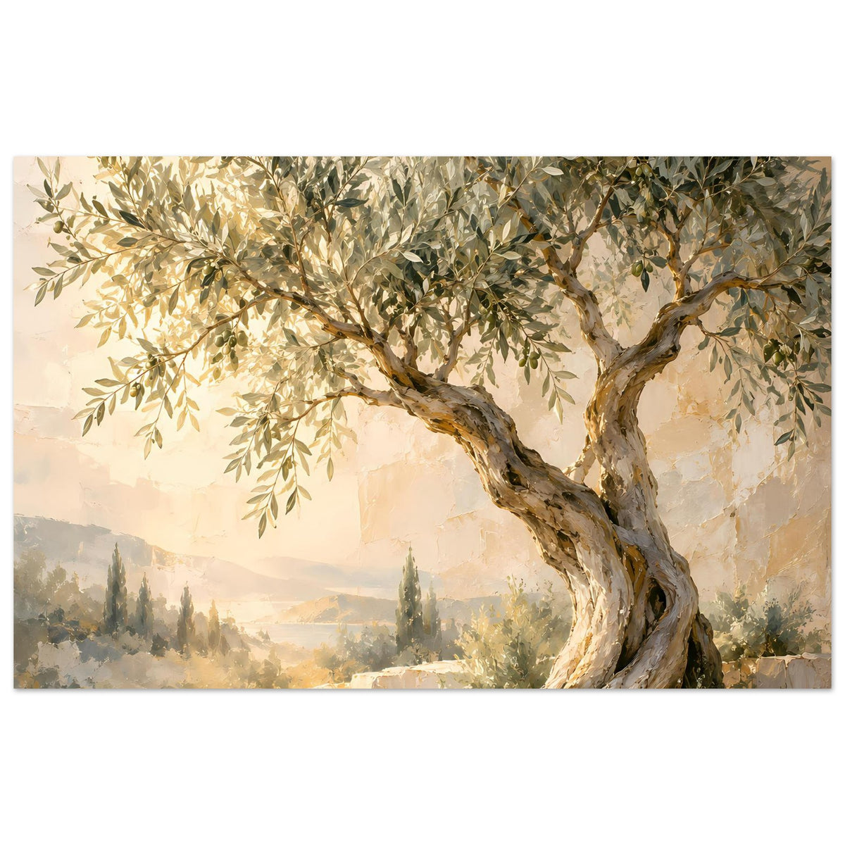 Landschaftsposter: mediterraner Olivenbaum mit kräftigem Stamm und olivgrünen Blättern