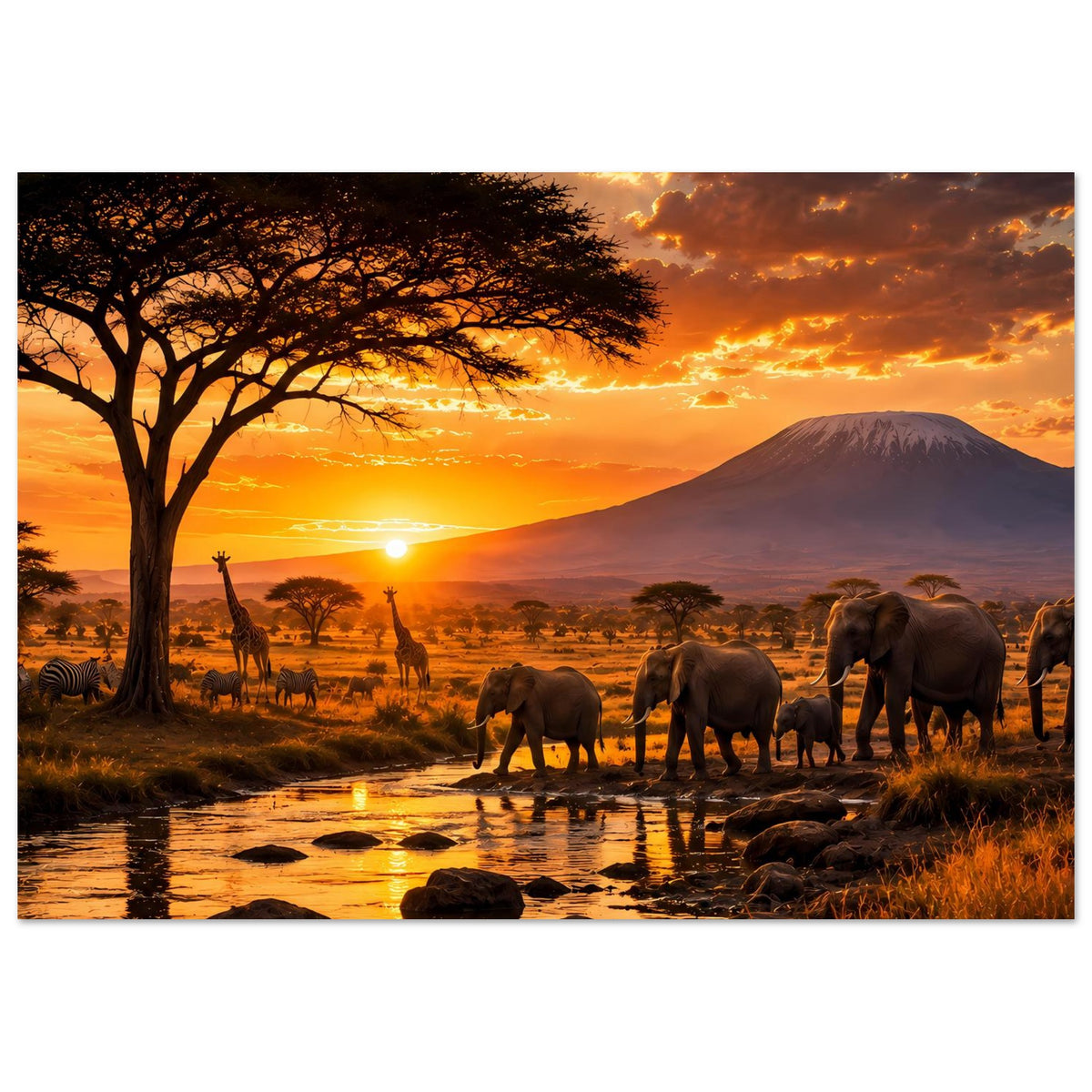 Safari-Poster: Elefanten am Flussufer, Akazienbaum im Abendrot und Bergkuppe