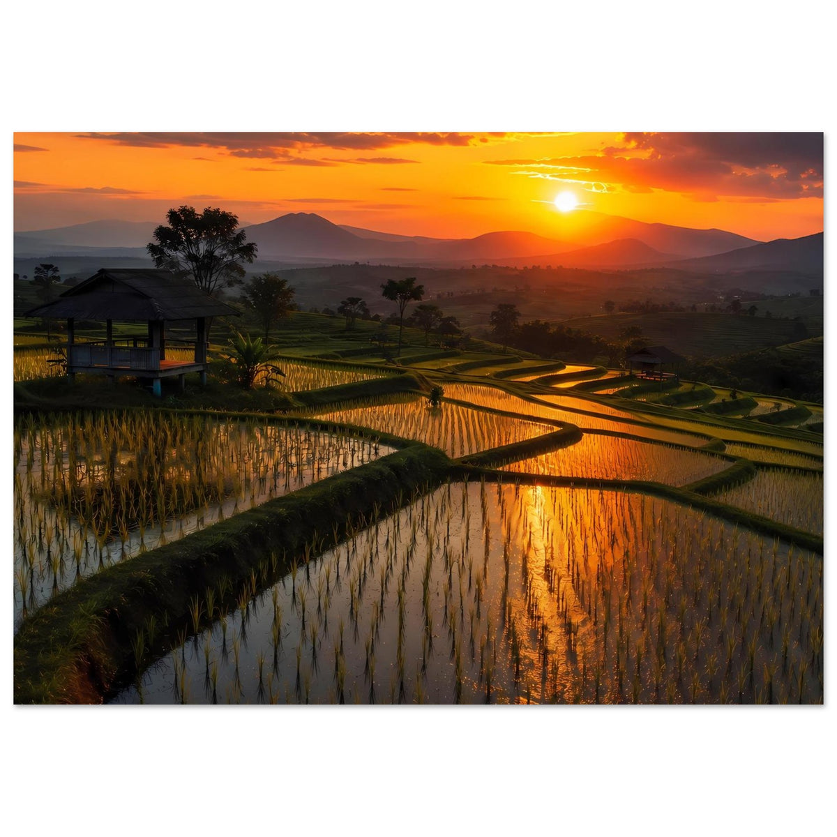 20c40bd8-607f-43e9-89a9-68a52104d390