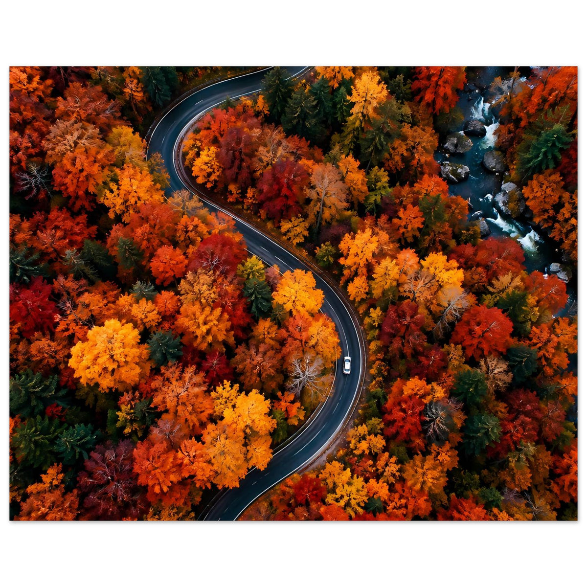 Herbstposter: Straße mit kräftigen Farben und Herbstbäumen, Querformat