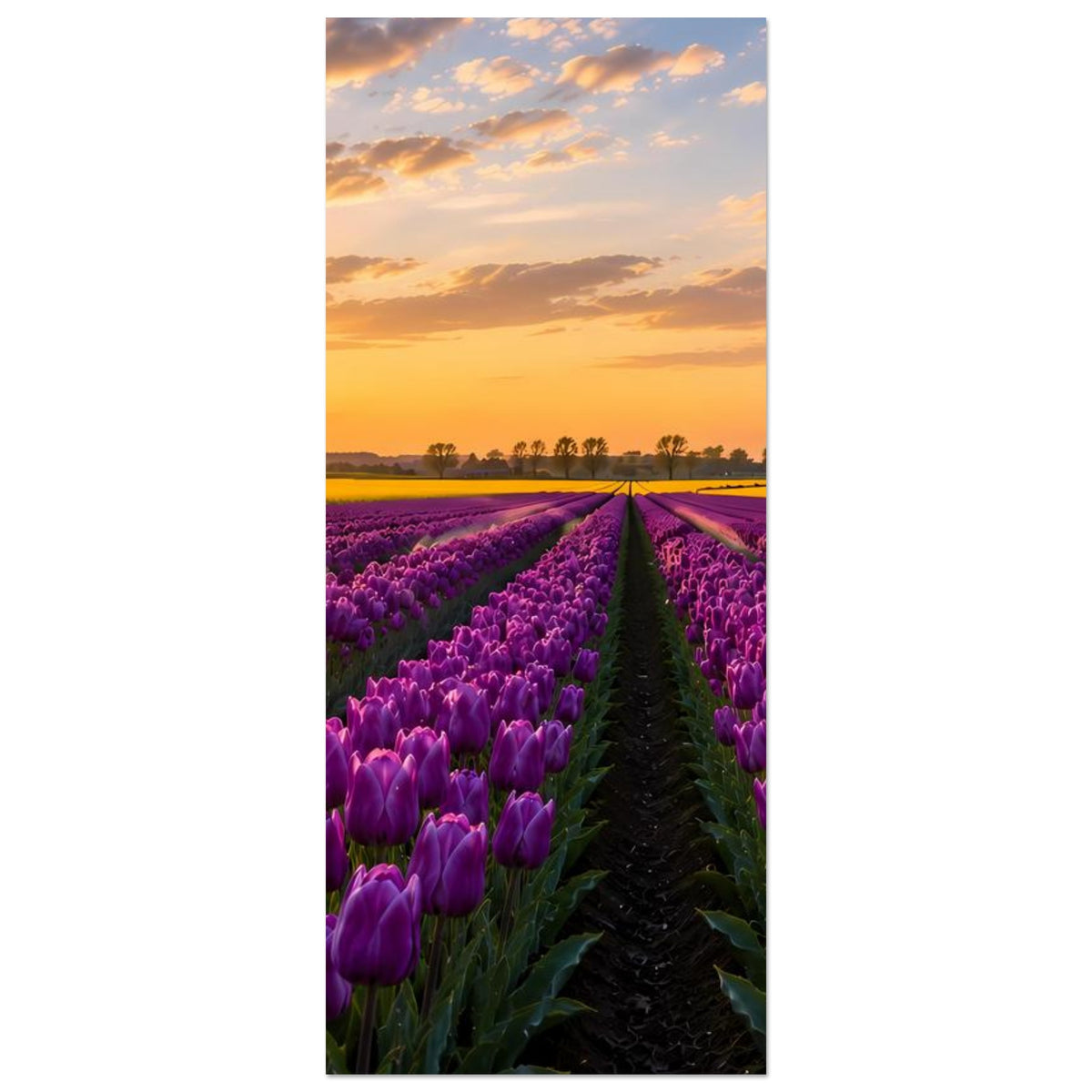 Poster im Hochformat mit lila Tulpenfeld und Sonnenuntergang