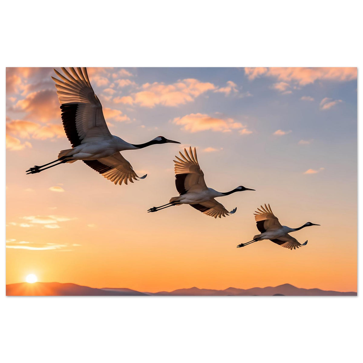 Horizontales Poster mit drei Kranichen im Flug vor orangefarbenen Wolken