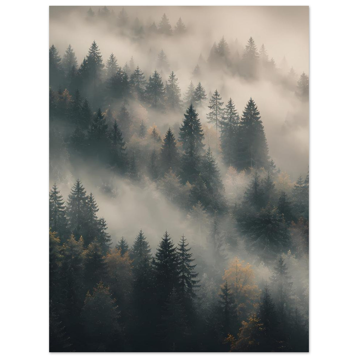 Poster mit nebeligem Tannenwald, dichte Baumkronen in dunklem Grün und Grau