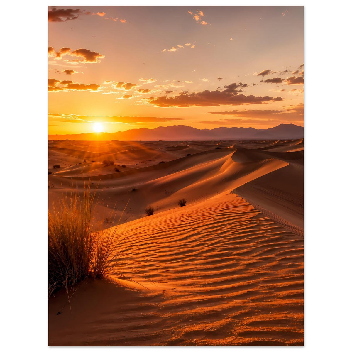 Wüstenposter mit goldenen Sanddünen und tief stehender Sonne bei Sonnenuntergang