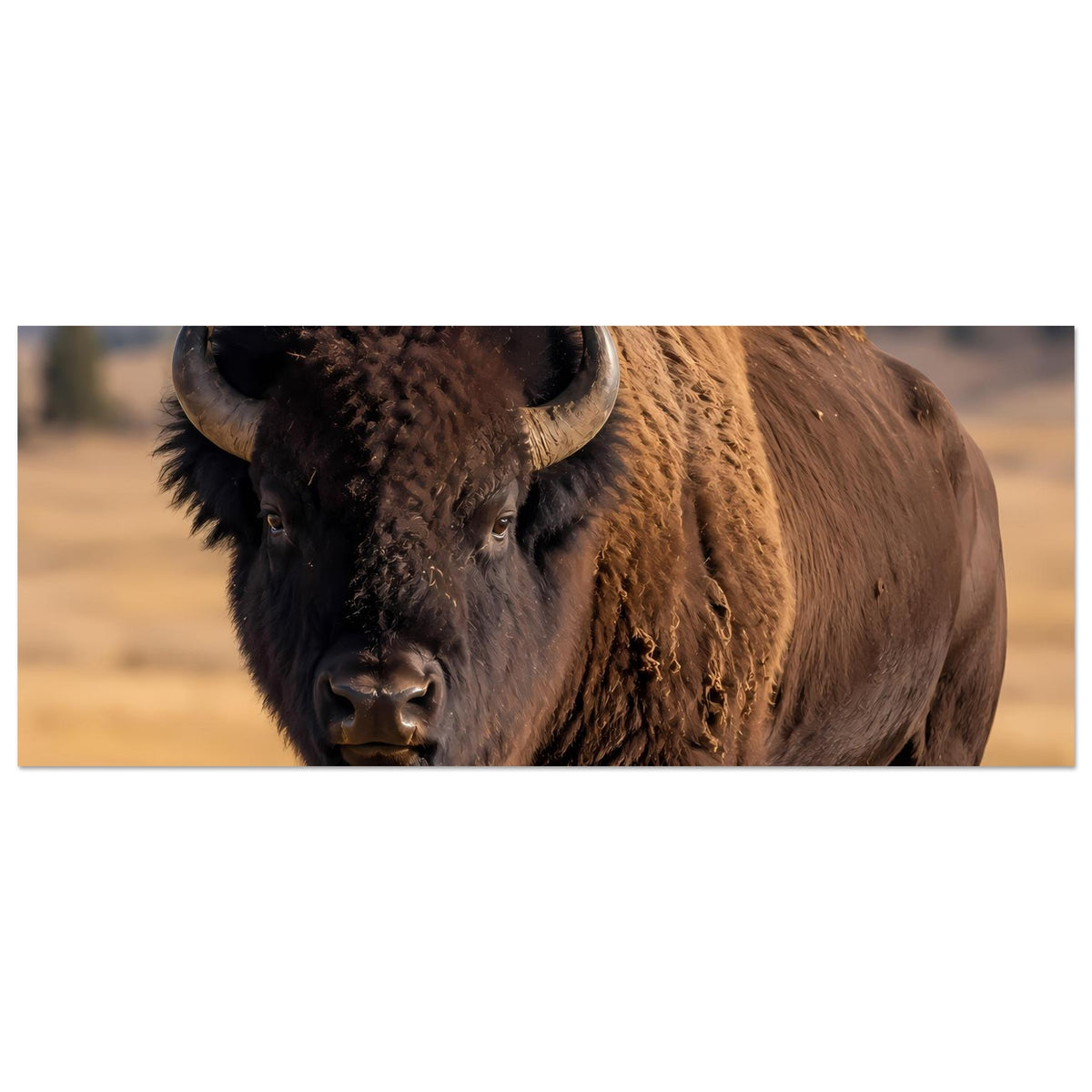 Bison-Wildlife-Poster im Querformat: angeschnittenes Büffelkopf-Detail, Hörner sichtbar.