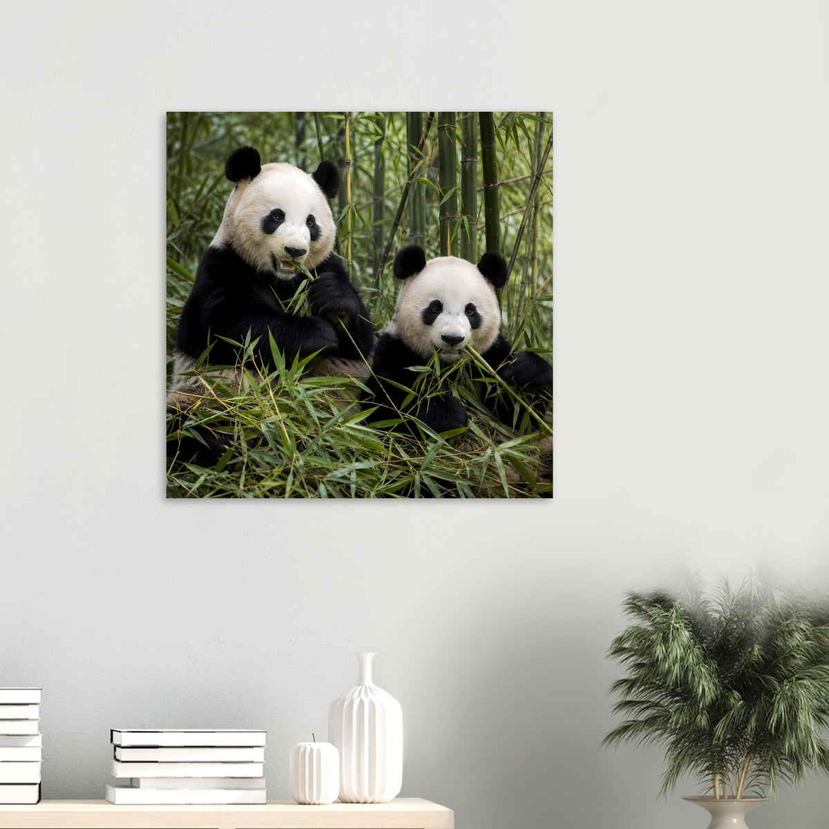 Quadratisches Wandposter mit zwei Pandas auf grünem Bambus im Rahmen
