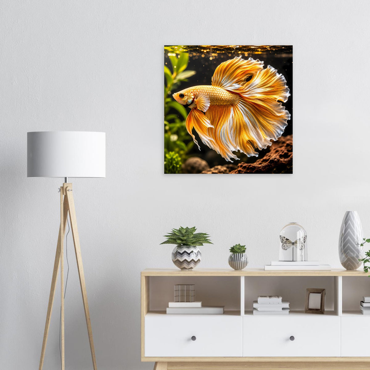 Quadratisches Poster mit gold-orangem Kampffisch (Betta) im Unterwasserbild.