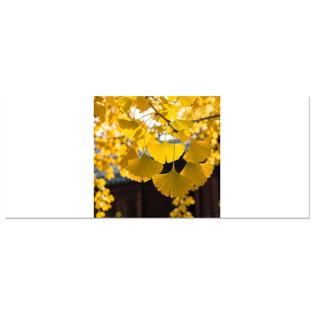 26b68d96-ebc4-4da8-a412-ab86d8237d33