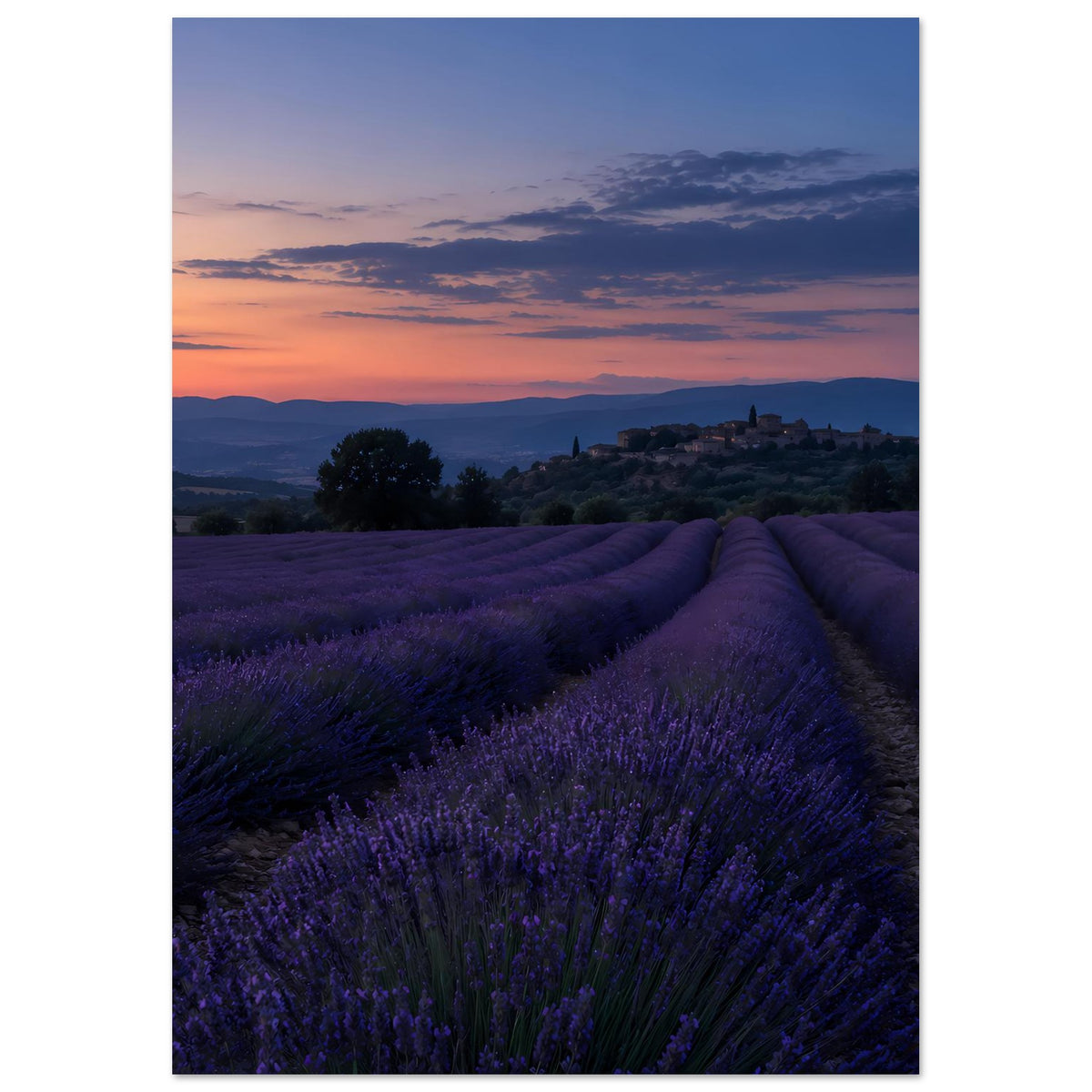 Hochkant-Poster mit Lavendelfeld und weitem Horizont beim Sonnenuntergang, blau-violett