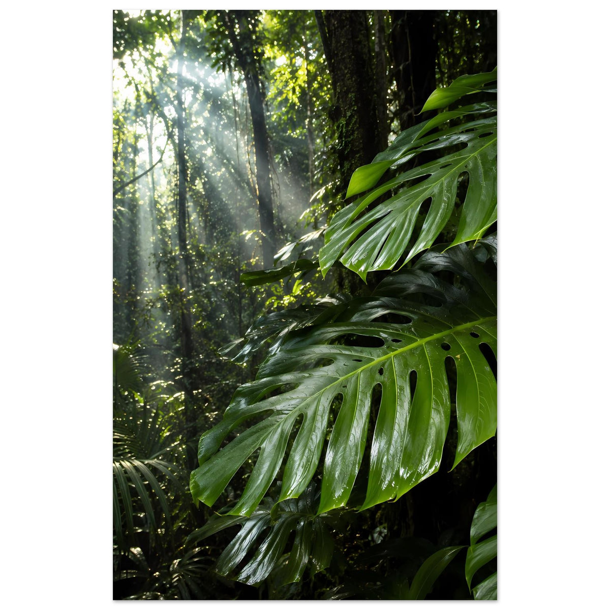Jungle-Poster im Hochformat mit grünen Monstera-Blättern vor dunklem Baumhintergrund