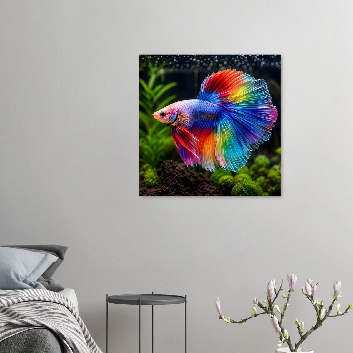 Kleines Poster auf Wand: Kampffisch-Betta mit Regenbogenflossen, blau und rot