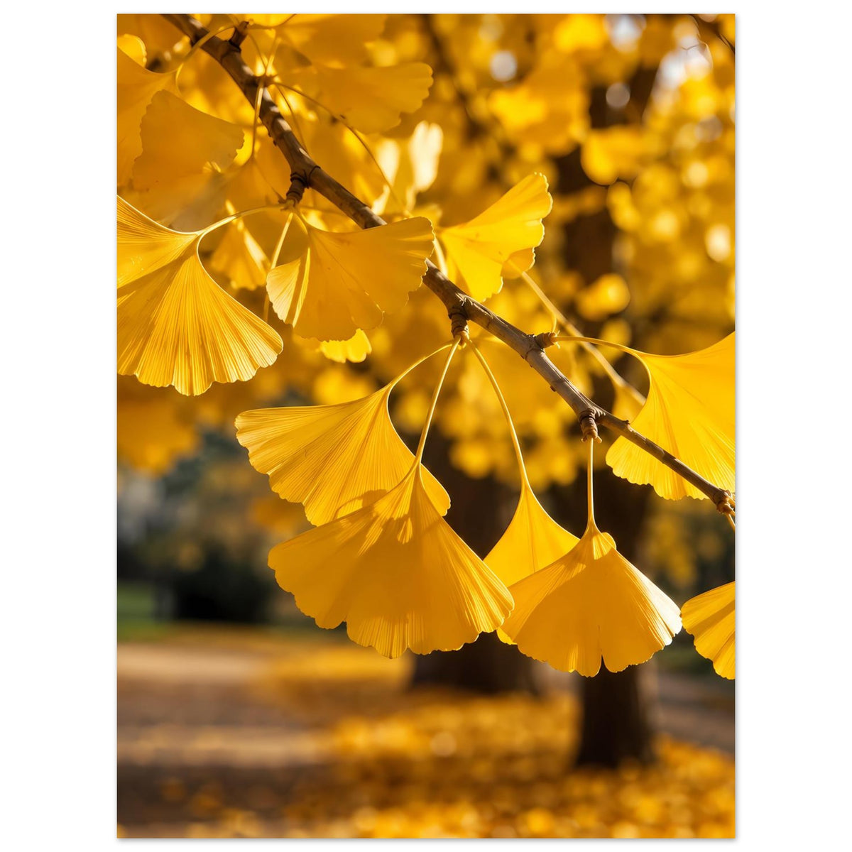 Poster mit gelben Ginkgo-Blättern am Ast, warmes Herbstmotiv mit Rand