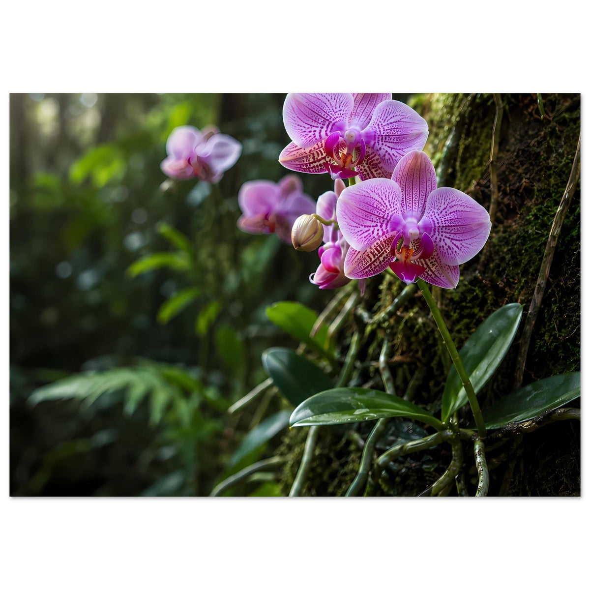 Botanisches Poster mit lila-pinken Orchideenblüten und grünen Blättern, Querformat