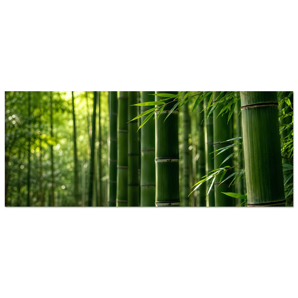 29b7c336-6aae-4246-9e25-a40a3f487fbe
