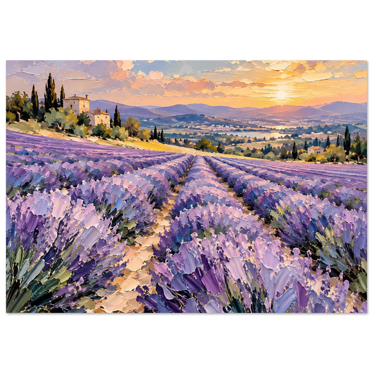 Poster mit Lavendelfeld im Abendlicht und goldenem Sonnenuntergang, mattes Papier