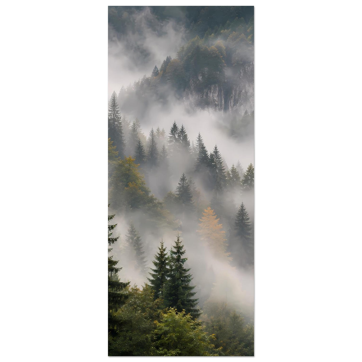 Vertikales Poster: Waldnebel über Tannen, Vordergrund mit dunkler Kiefer