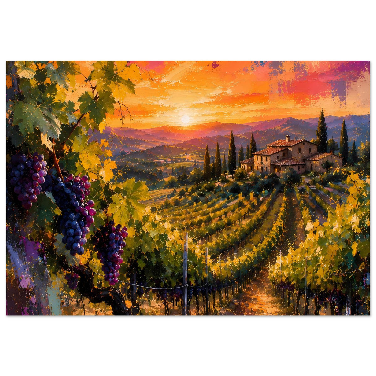 Poster Weinberge mit Landhaus rechts, Weintrauben am linken Rand und warmem Sonnenuntergang