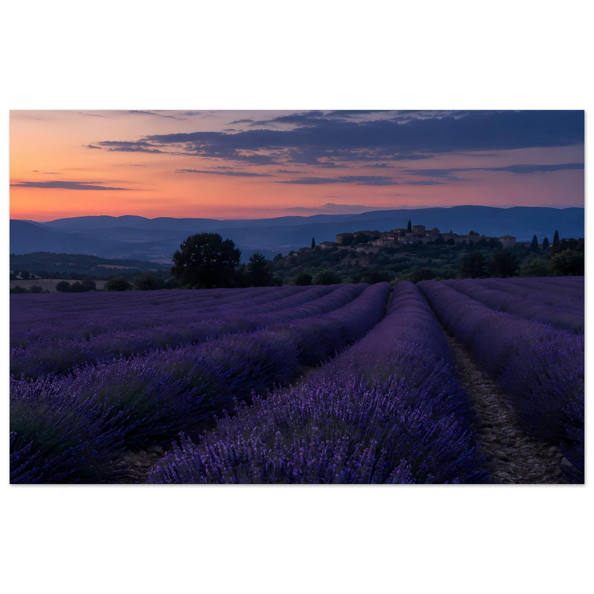 Horizontales Poster mit Lavendelfeld, Abendhimmel und Weg im Vordergrund, blau-violett getönt.