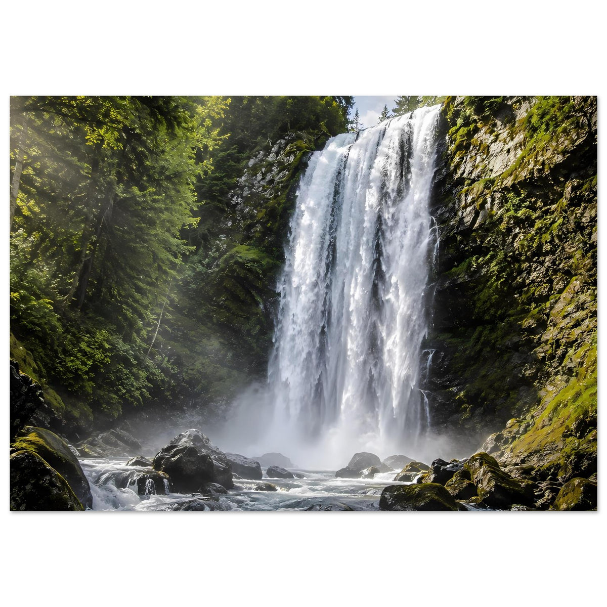 Wasserfall-Premium-Poster (quadratisch) mit Wasserfällen vor dichtem Nadelwald
