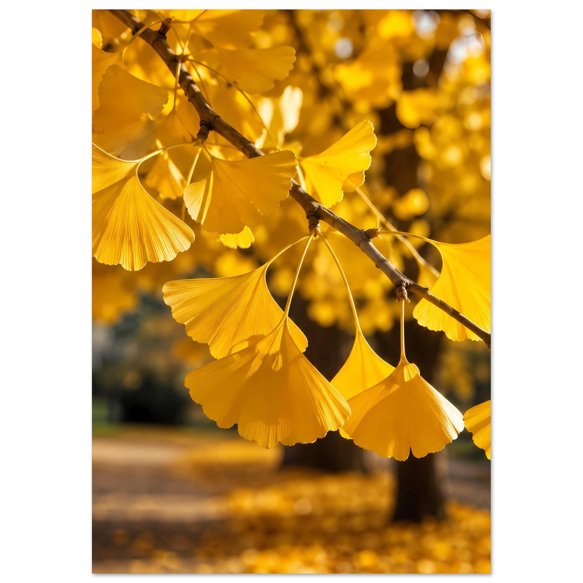 Poster mit goldenen Ginkgo-Blättern an Zweig, enger Fokus auf Blätter