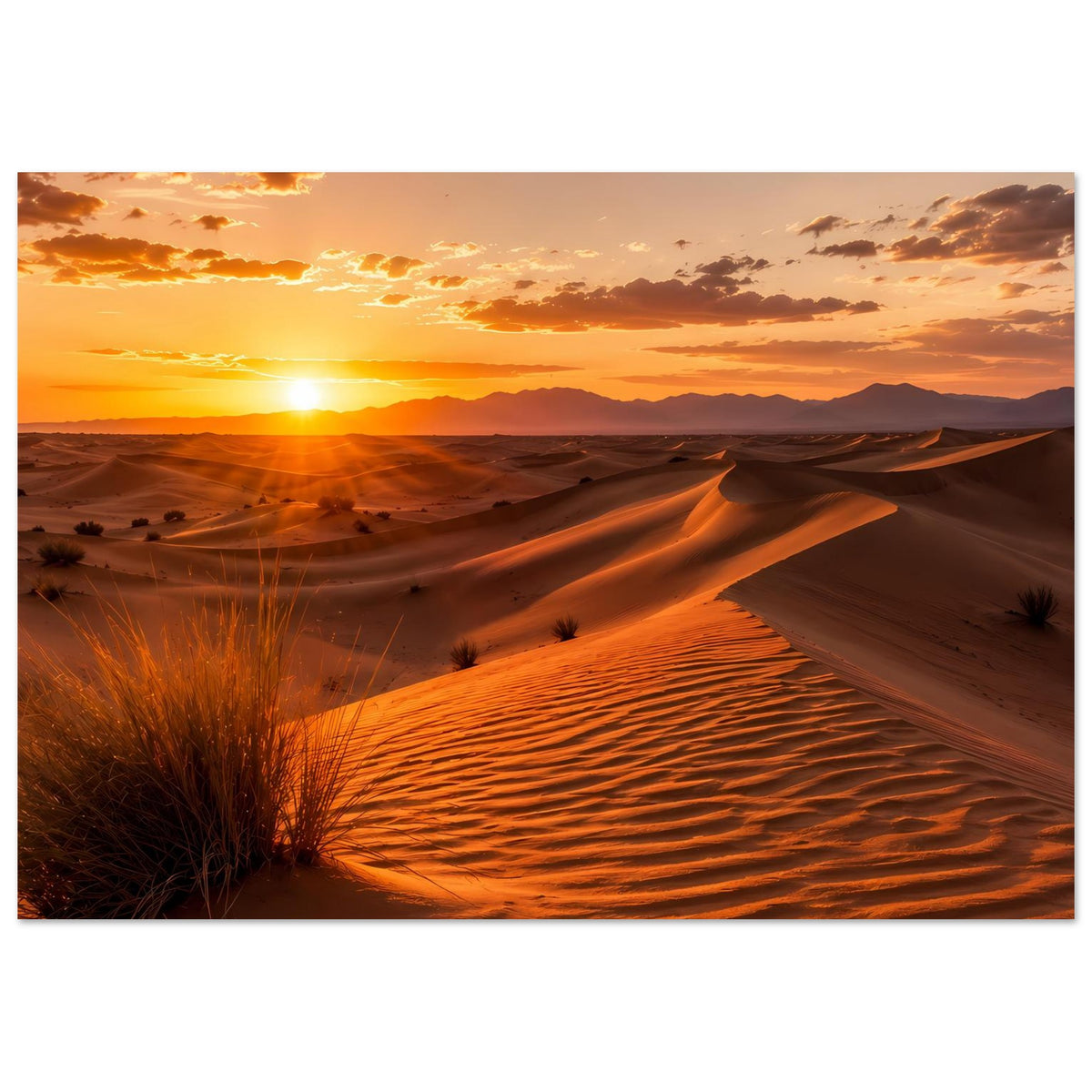 Wüstenposter, naher Blick auf Sanddünen mit Sonnenuntergang und goldenem Licht