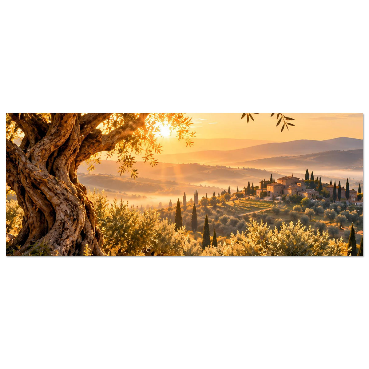 Horizontales Landschaftsposter mit Olivenhain, goldenem Sonnenaufgang und Hügeln in der Toskana
