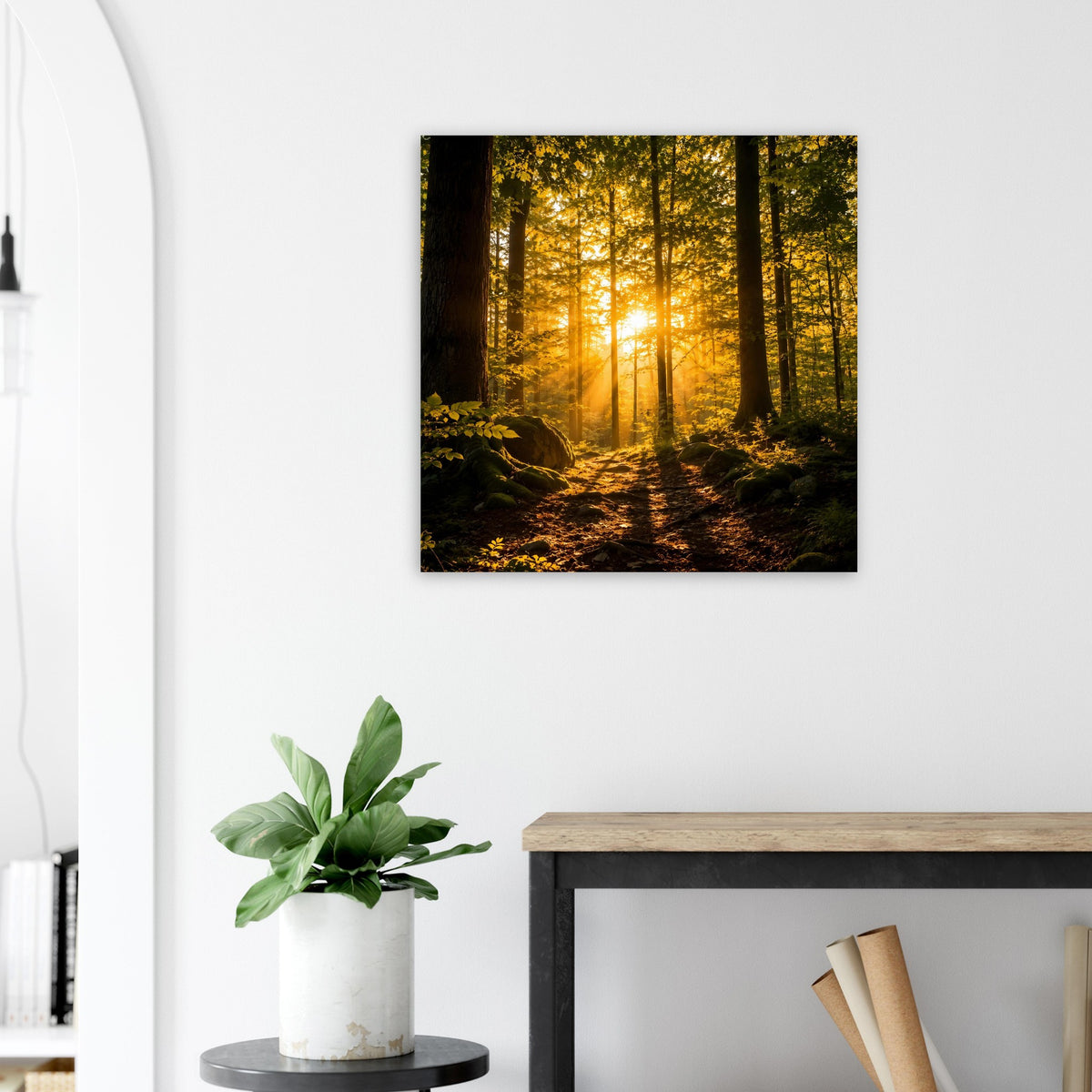 Quadratisches Poster mit Waldweg im warmen Licht, von hohen Bäumen eingerahmt