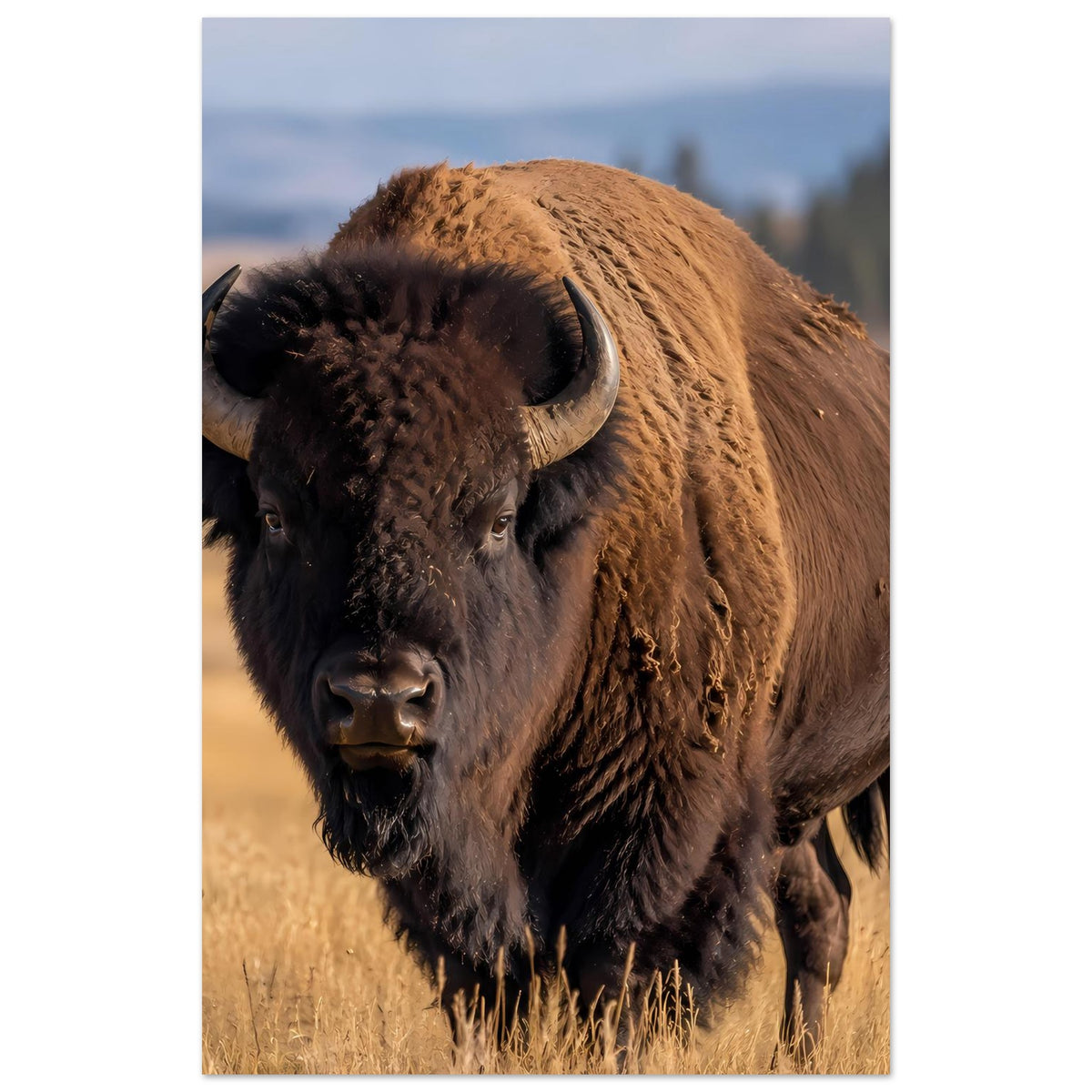 Bison-Wildtierposter, angeschnittene Frontansicht mit Hörnern, Hochformat