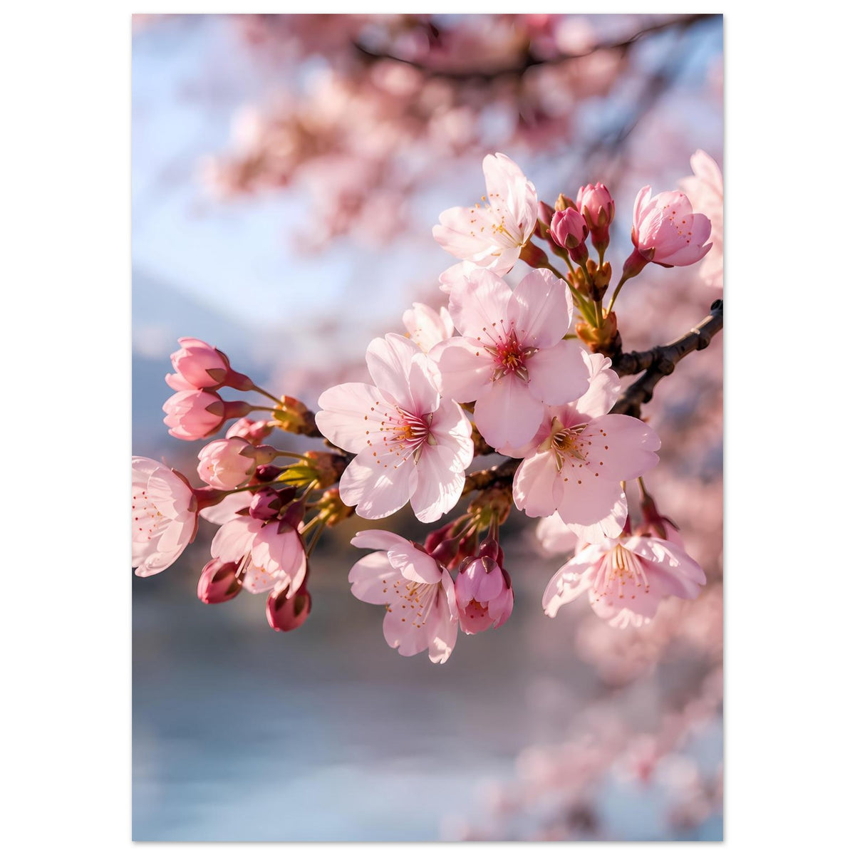 Wandposter im Hochformat mit Kirschblütenzweig, rosa Blüten und dunklem Ast