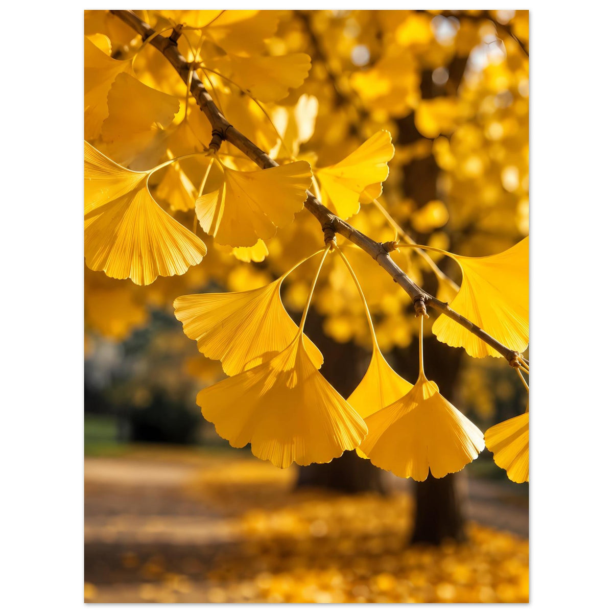 Herbstliches Ginkgoblätter-Poster: goldene Blätter an Ast, leicht schräger Ausschnitt